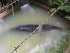 s_A_PICT0059_thumb.png